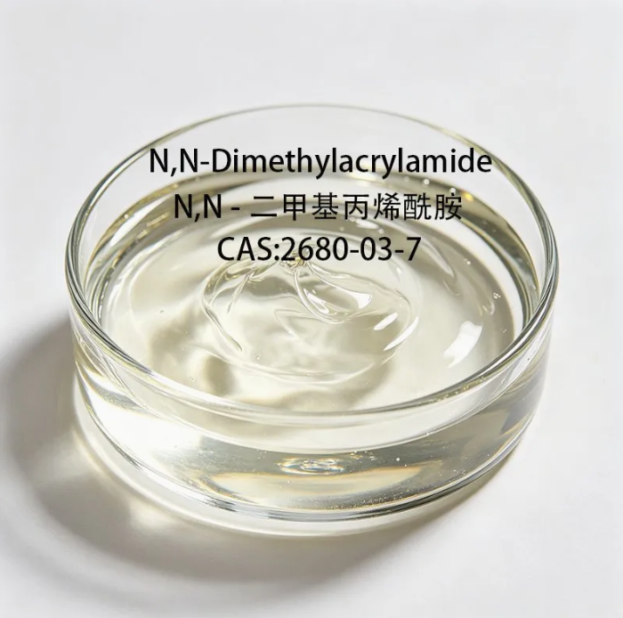 99% N, N-Dimethylacrylamide Dmaa CAS 2680-03-7 Factory Supply in Stock